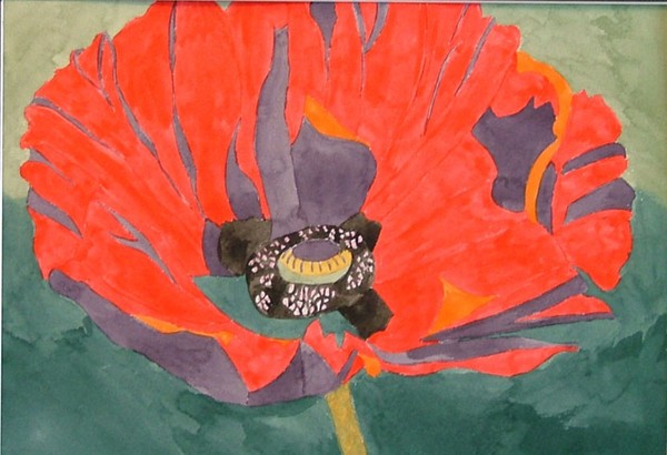 Red Poppy
