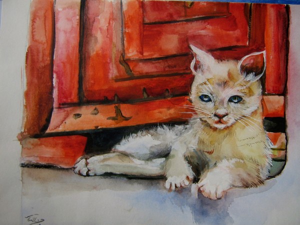 Cat near the door