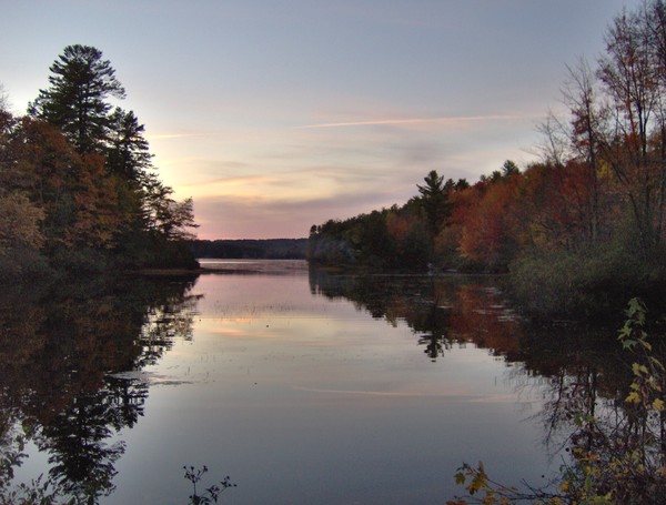 Fall at Fernald Cove