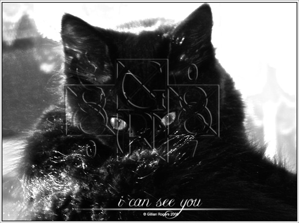 I can see you
