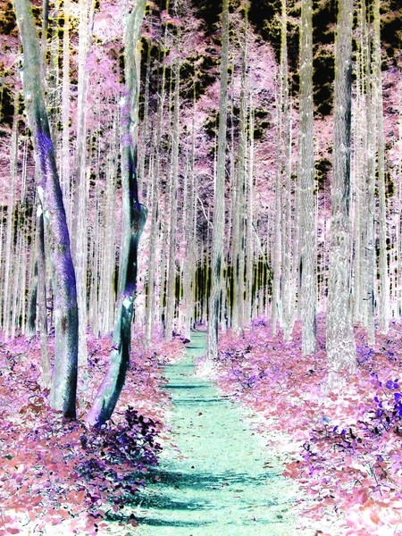 mystic park