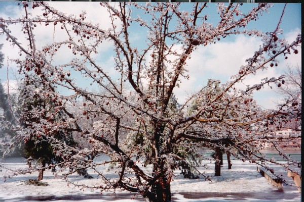 Boston_Hiver