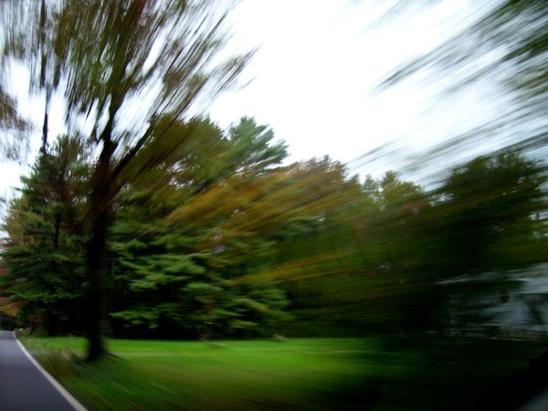 Life in the fast lane