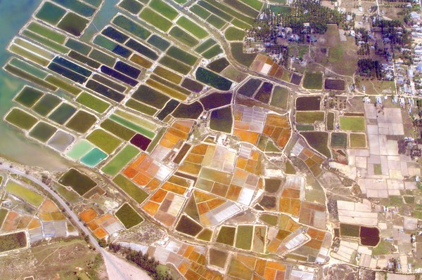 Shrimp-Farm