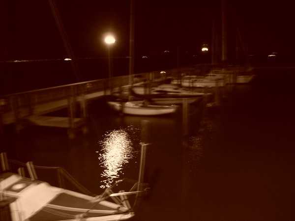 Boats in the moonlight