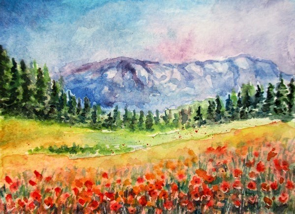 Poppy field