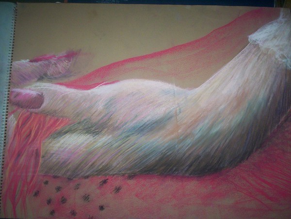 Beautiful Hand of a Senorita