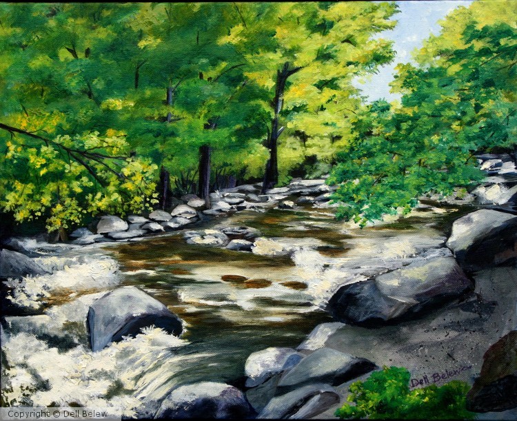 Great Smoky Mountain Stream