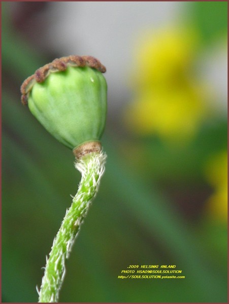 ...reaching out to...