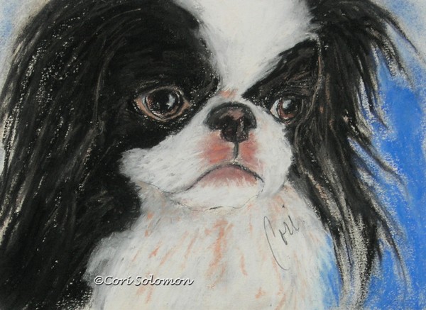 Chin-sational Japanese Chin By Cori Solomon