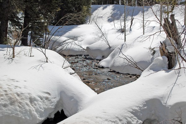 Big Cottonwood Canyon in winter