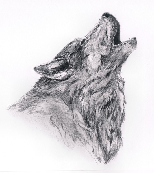 Howling Wolf