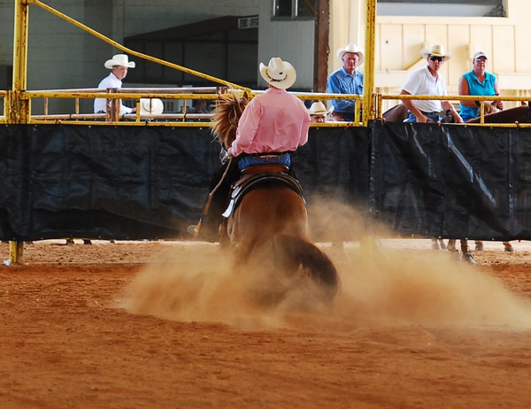 Reining Cow Show Ocala Florida