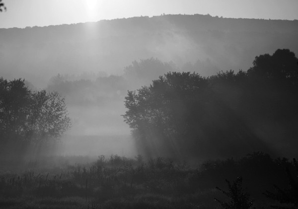 Fog in Morning - Grayscale version