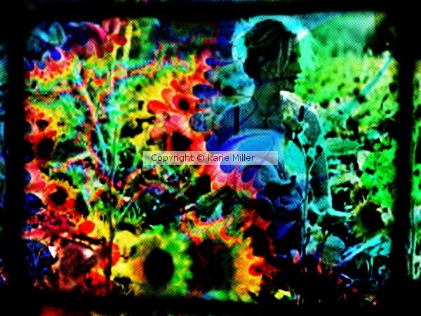 flowers of the sun 3