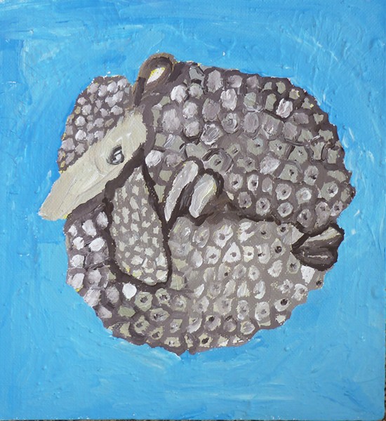 armadillo