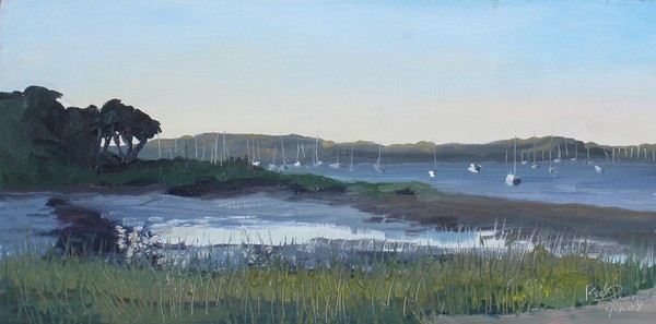 OB Cove IV