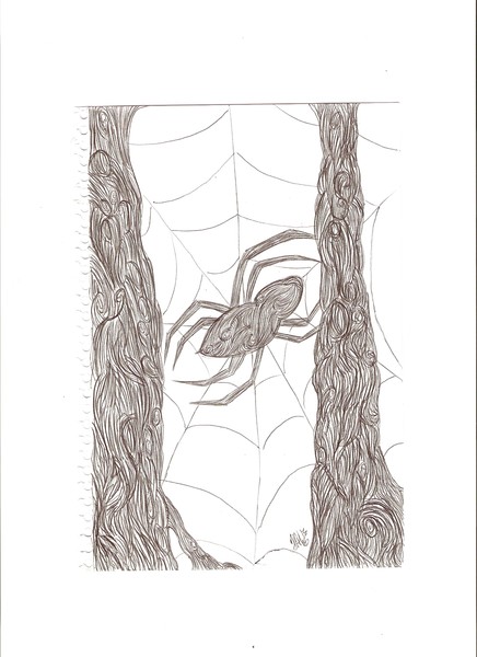spider swirl