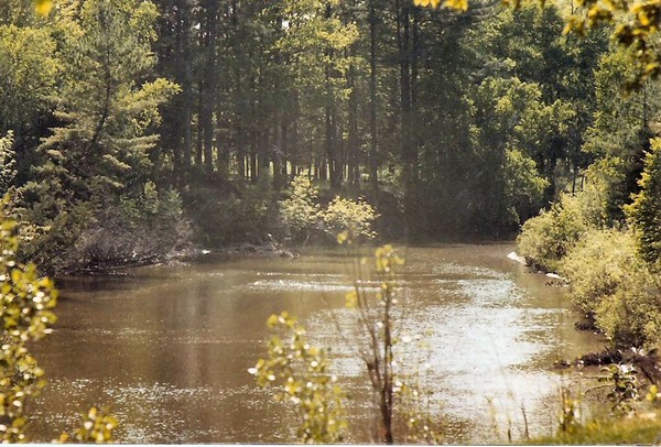 Van Etton Creek 3