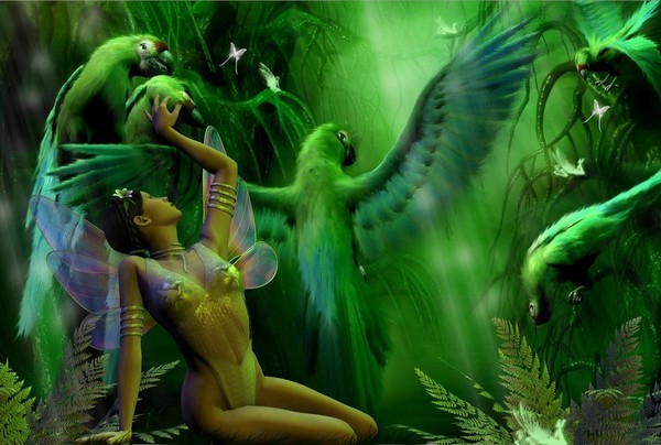 Fairy's Paradise