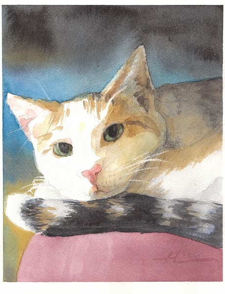 cat watercolor painting
