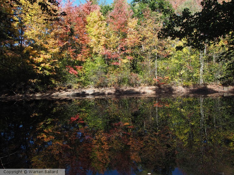 Reflections 10-20-2016