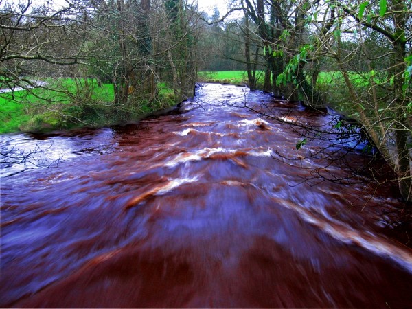 A stream