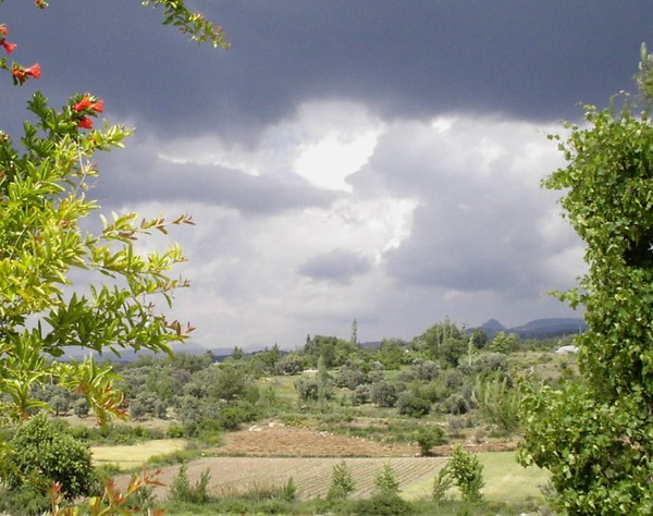 A storm a brewing.