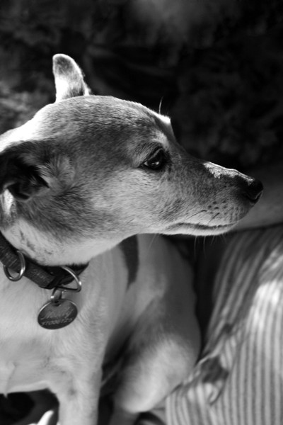 Molly