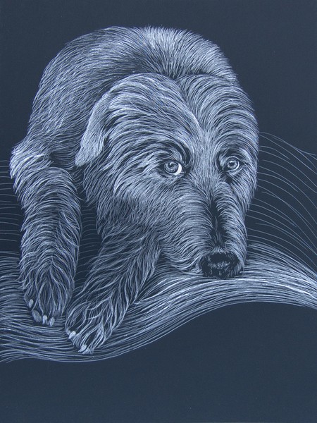 Scratchboard Lurcher