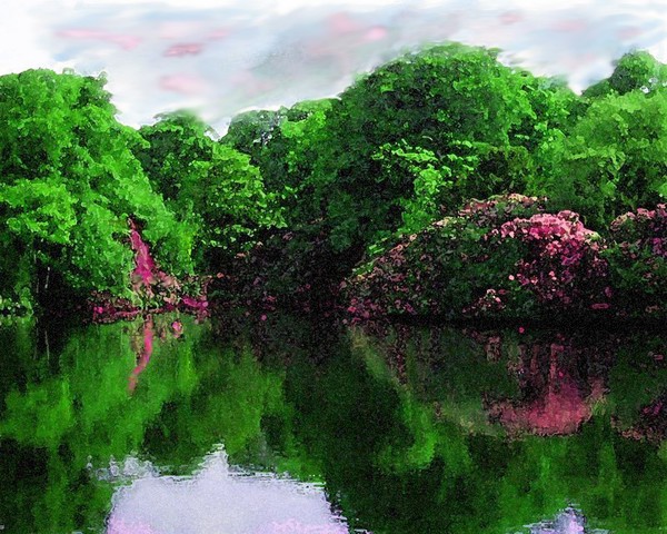 Echoes Of Rhododendron  (1)