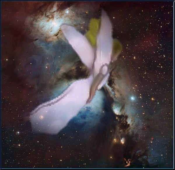 Angel Falling From Grace