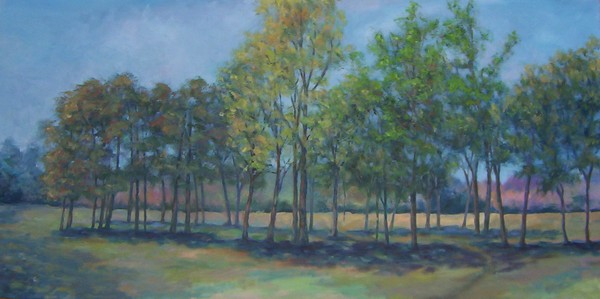 Mighty Elm