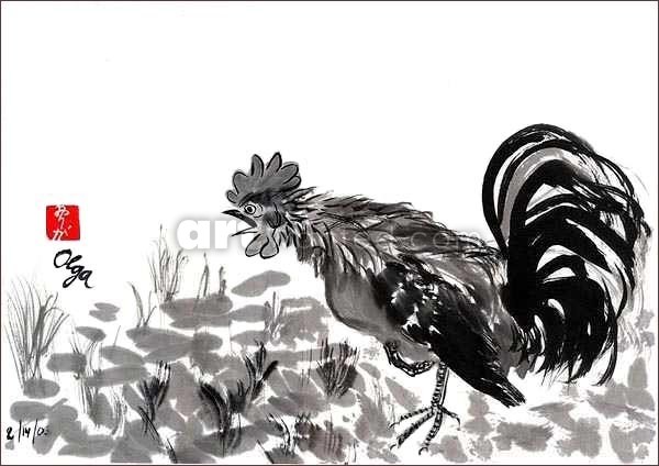 Rooster blatant.
