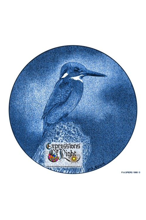 ExpoLight-Graphic-Arts-Kingfisher-1988-0001 (Pen-&-Ink-Blue-Sepia-SP)