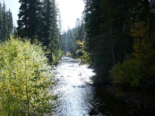 The River