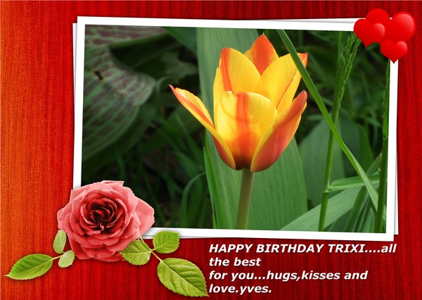 happy birthday trixi 2013
