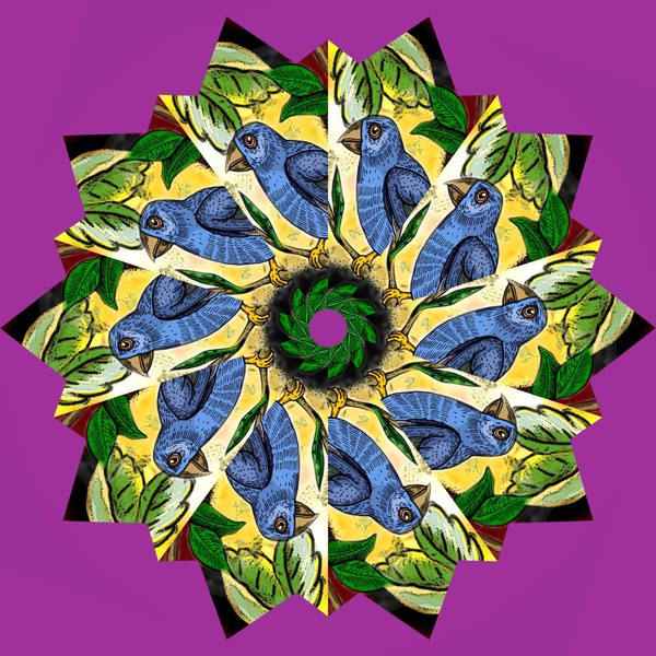 KALEIDOSCOPE STAR BIRD