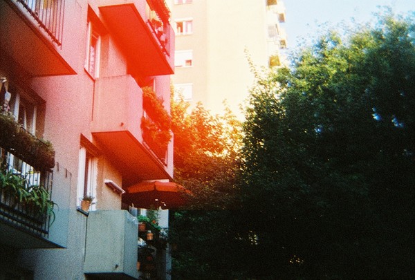My hood through Holga
