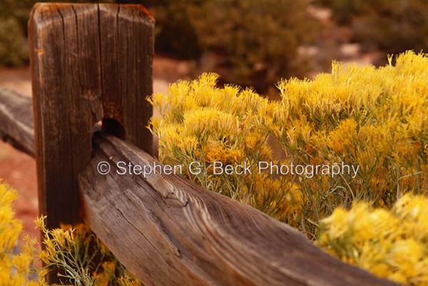 Fence Detail