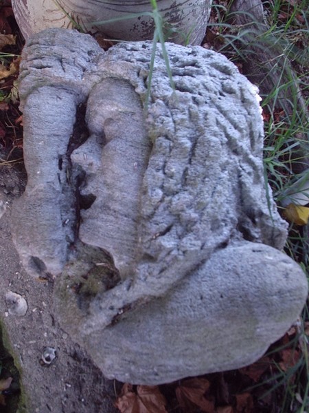 Sleeping Girl