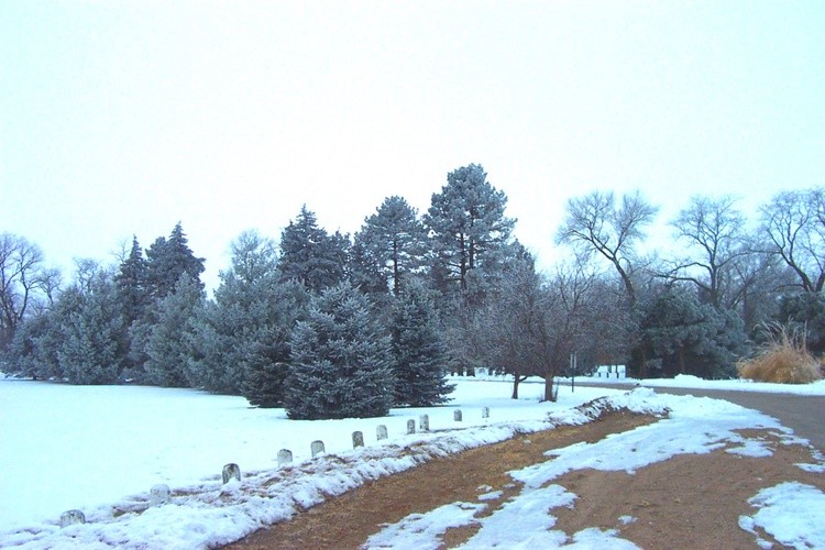 Hoar frost 4