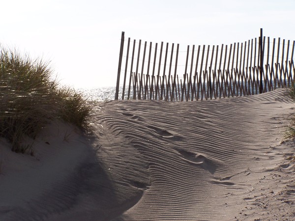 Watch Hill Dune Horizontal