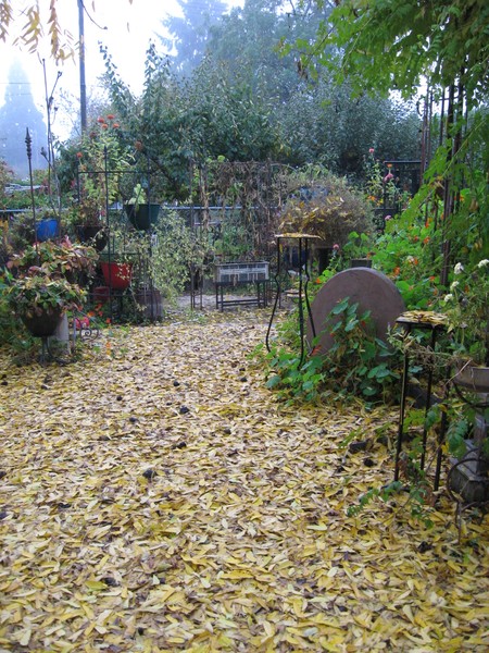 Autumn Leaves Must Fall