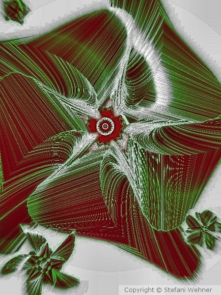 snowtouched X-mas flowers