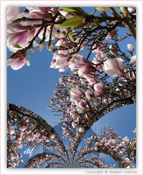 magic spring
