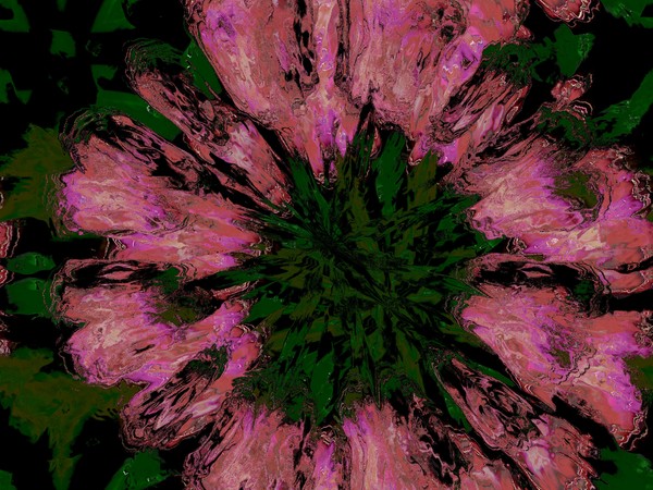 pink flower