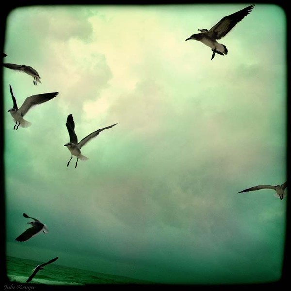 Playing in the Clouds - Original Fine Art Print Me
