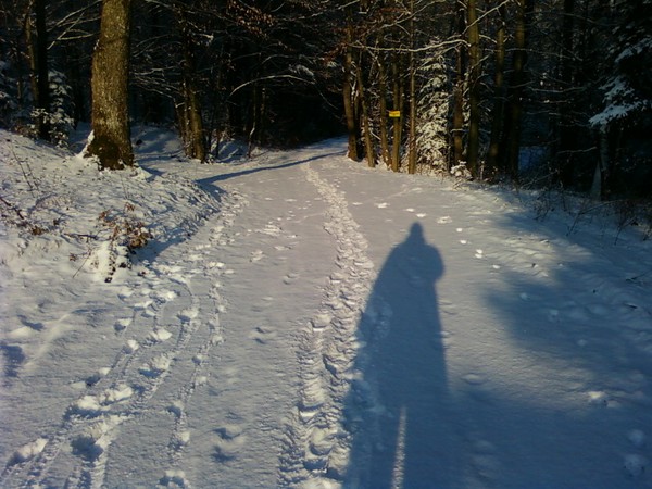 Play with sun