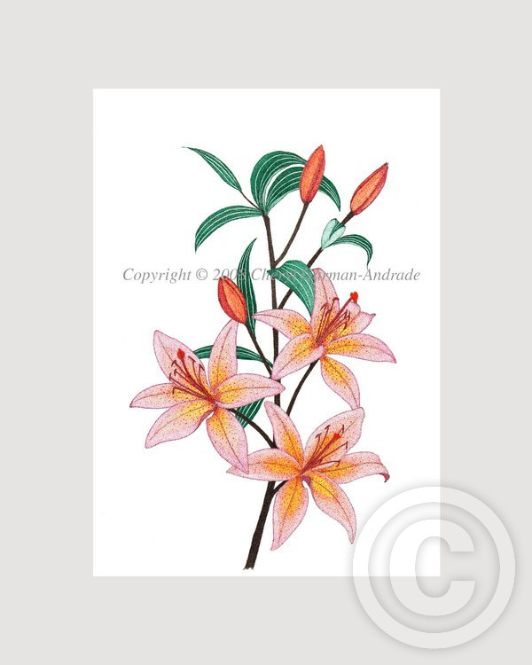 Asiatic Lilies Pen and Ink Pointillism